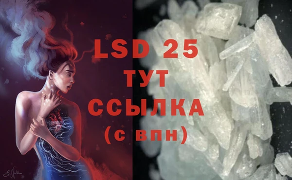 стаф Беломорск