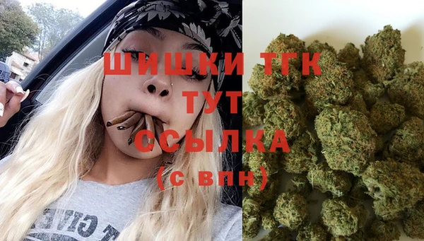 стаф Беломорск