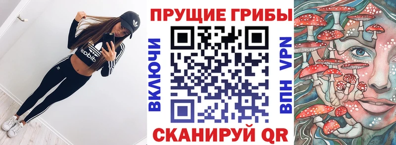 Псилоцибиновые грибы MAGIC MUSHROOMS  OMG зеркало  Кораблино 